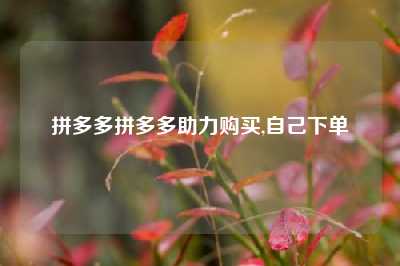 拼多多拼多多助力购买,自己下单