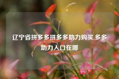 辽宁省拼多多拼多多助力购买,多多助力入口在哪