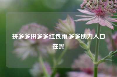 拼多多拼多多红包雨,多多助力入口在哪