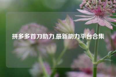 拼多多首刀助力,最新助力平台合集