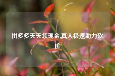 拼多多天天领现金,真人极速助力砍价