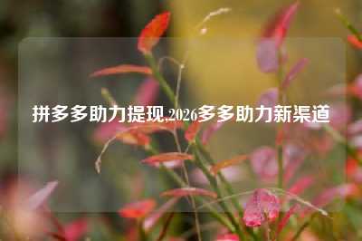 拼多多助力提现,2026多多助力新渠道