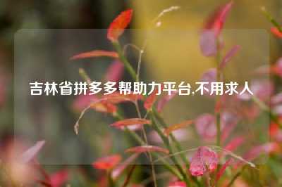 吉林省拼多多帮助力平台,不用求人