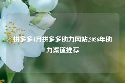 拼多多4月拼多多助力网站,2026年助力渠道推荐