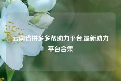 云南省拼多多帮助力平台,最新助力平台合集