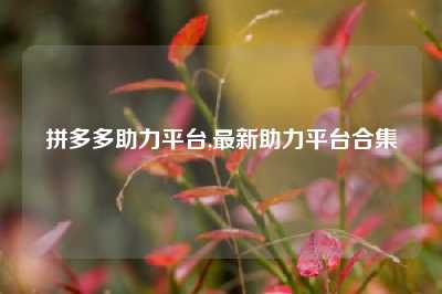 拼多多助力平台,最新助力平台合集