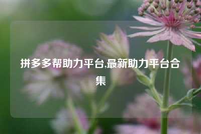 拼多多帮助力平台,最新助力平台合集