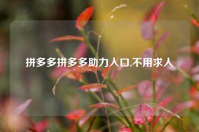 拼多多拼多多助力入口,不用求人