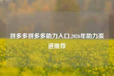 拼多多拼多多助力入口,2026年助力渠道推荐