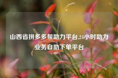山西省拼多多帮助力平台,24小时助力业务自助下单平台