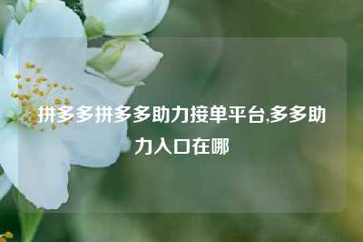 拼多多拼多多助力接单平台,多多助力入口在哪