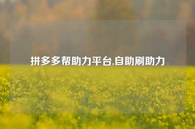 拼多多帮助力平台,自助刷助力