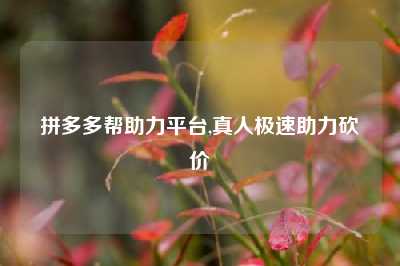 拼多多帮助力平台,真人极速助力砍价