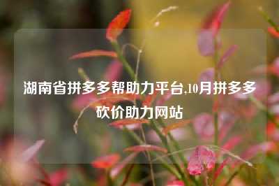 湖南省拼多多帮助力平台,10月拼多多砍价助力网站