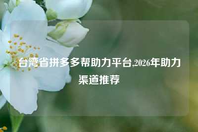 台湾省拼多多帮助力平台,2026年助力渠道推荐
