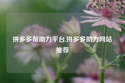 拼多多帮助力平台,拼多多助力网站推荐