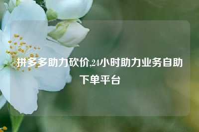 拼多多助力砍价,24小时助力业务自助下单平台