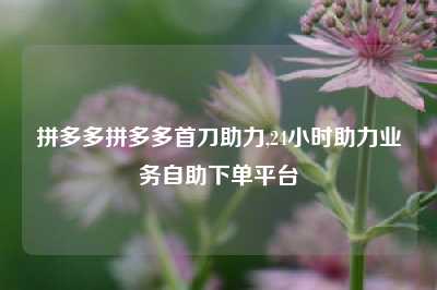 拼多多拼多多首刀助力,24小时助力业务自助下单平台