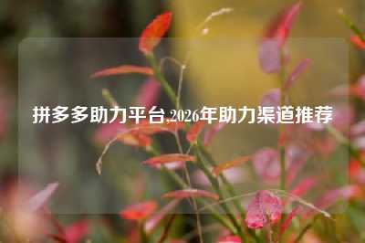 拼多多助力平台,2026年助力渠道推荐