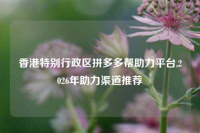 香港特别行政区拼多多帮助力平台,2026年助力渠道推荐