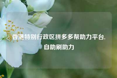 香港特别行政区拼多多帮助力平台,自助刷助力
