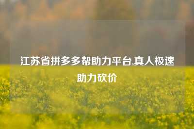 江苏省拼多多帮助力平台,真人极速助力砍价