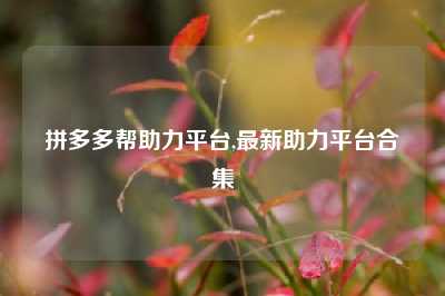 拼多多帮助力平台,最新助力平台合集
