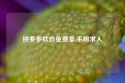拼多多砍价免费拿,不用求人
