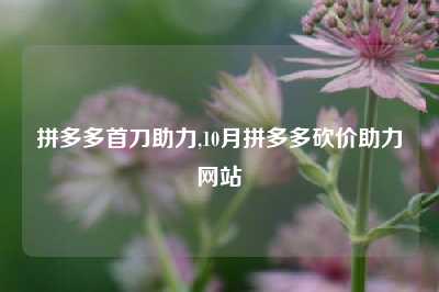 拼多多首刀助力,10月拼多多砍价助力网站