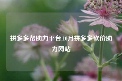 拼多多帮助力平台,10月拼多多砍价助力网站