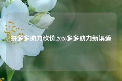 拼多多助力砍价,2026多多助力新渠道