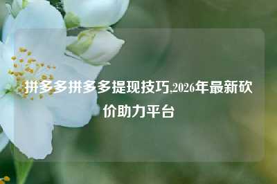 拼多多拼多多提现技巧,2026年最新砍价助力平台