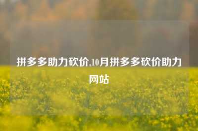 拼多多助力砍价,10月拼多多砍价助力网站