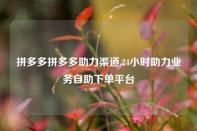 拼多多拼多多助力渠道,24小时助力业务自助下单平台