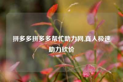 拼多多拼多多帮忙助力网,真人极速助力砍价