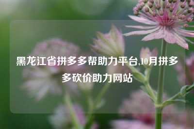 黑龙江省拼多多帮助力平台,10月拼多多砍价助力网站