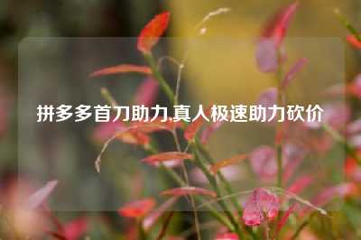 拼多多首刀助力,真人极速助力砍价