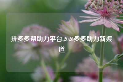 拼多多帮助力平台,2026多多助力新渠道