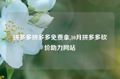 拼多多拼多多免费拿,10月拼多多砍价助力网站