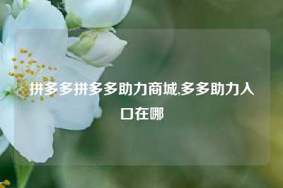 拼多多拼多多助力商城,多多助力入口在哪