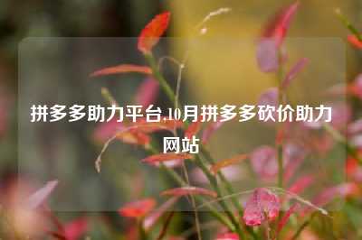 拼多多助力平台,10月拼多多砍价助力网站