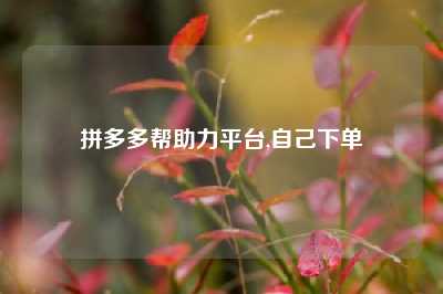 拼多多帮助力平台,自己下单