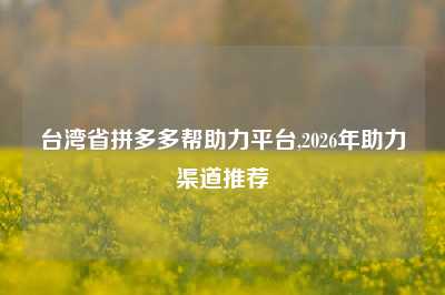 台湾省拼多多帮助力平台,2026年助力渠道推荐