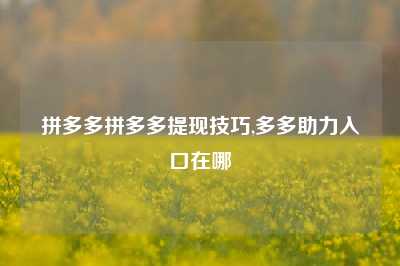 拼多多拼多多提现技巧,多多助力入口在哪