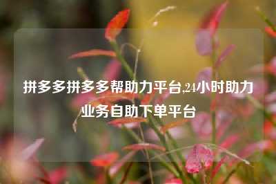 拼多多拼多多帮助力平台,24小时助力业务自助下单平台