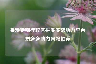 香港特别行政区拼多多帮助力平台,拼多多助力网站推荐