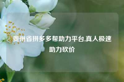 贵州省拼多多帮助力平台,真人极速助力砍价