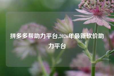 拼多多帮助力平台,2026年最新砍价助力平台