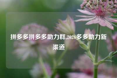 拼多多拼多多助力群,2026多多助力新渠道
