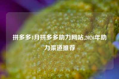拼多多4月拼多多助力网站,2026年助力渠道推荐